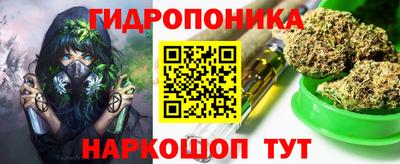 дмт Краснодар