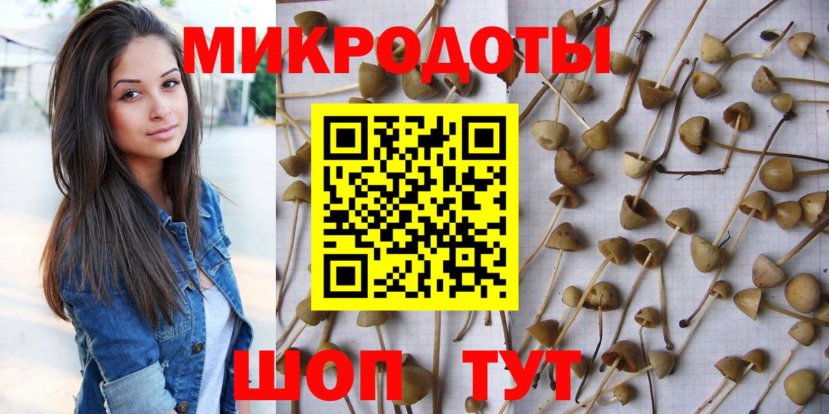 Городец  продажа наркотиков  Вход с VPN  Псилоцибиновые грибы Magic Shrooms  Галлюциногенные грибы прущие грибы 