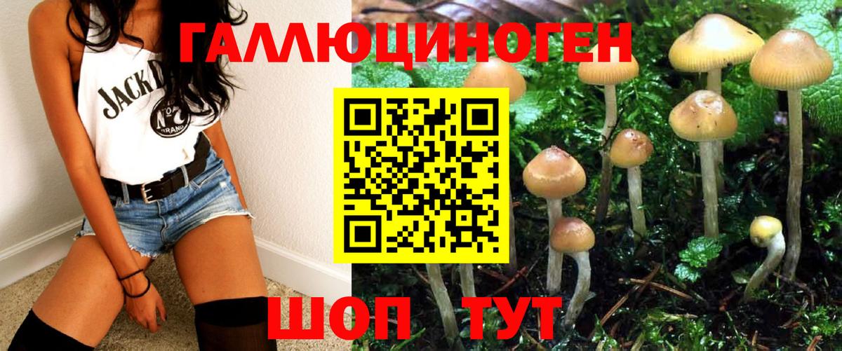 Псилоцибиновые грибы Cubensis Городец